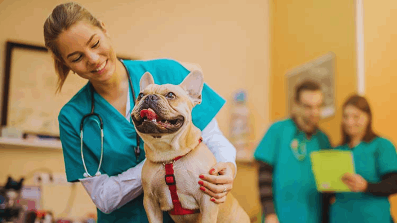 Is Pet Insurance Worth It? Benefits, Costs, and Coverage Explained