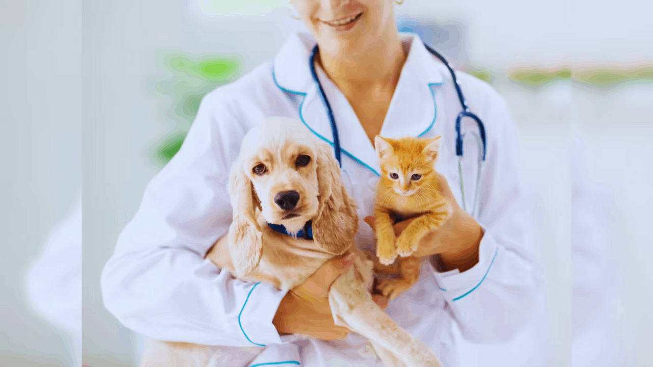 Is Pet Insurance Worth It? Benefits, Costs, and Coverage Explained