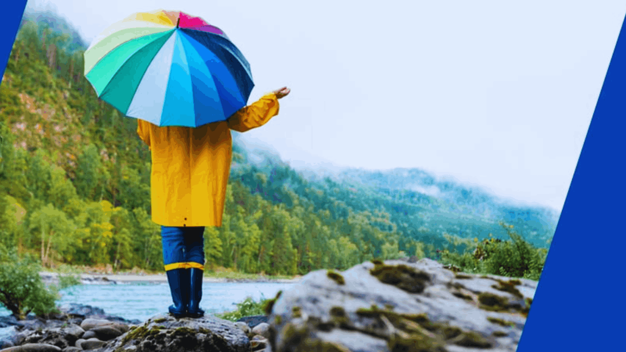 Umbrella Insurance: How It Protects Beyond Standard Policies